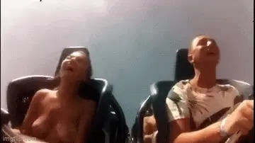 roller coaster fun