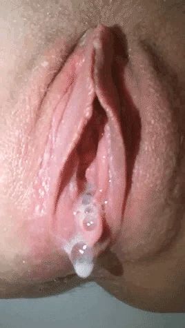 your wife's pussy is still quivering from their mutual orgasm , as you eat it