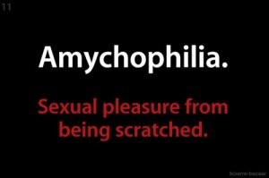 scratch turn on