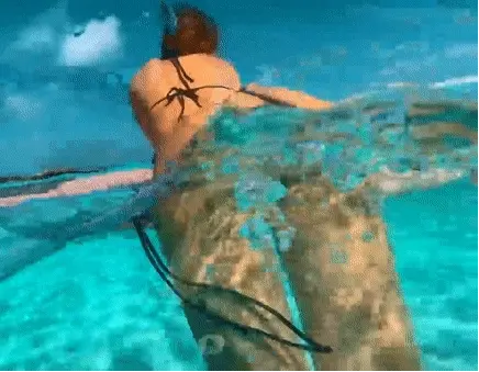 Ass in the water