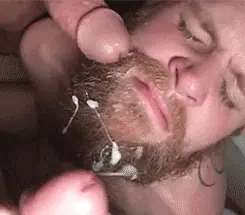 Beard Balm