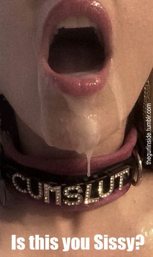 In honour of her new collar