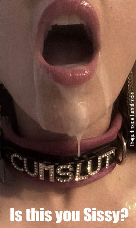 In honour of her new collar