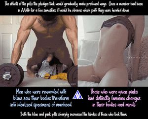 AAAb-003 The Changes