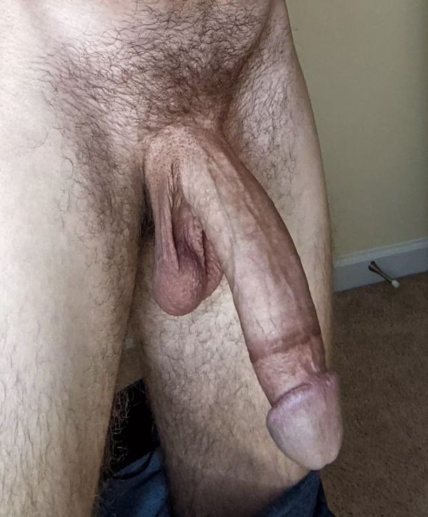 Full stud