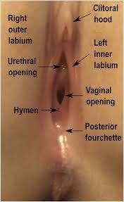 Bulletin, at all stations, showing missing Virginity.