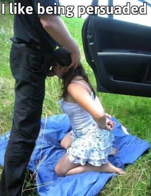 I like being persuaded