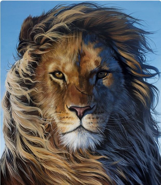 Alpha lion pic