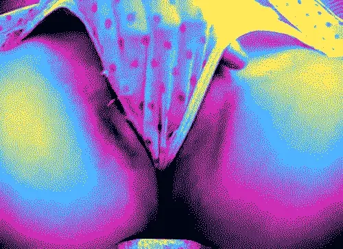 Psychedelic pussy rubbing