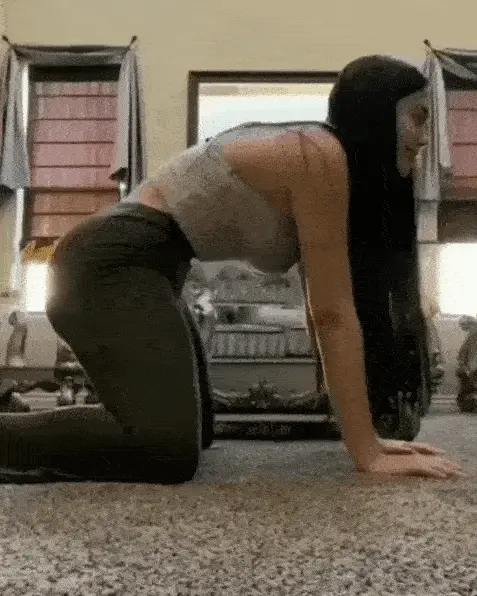 Thicc latina doggystyle