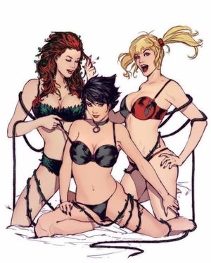 Gotham City Sirens in their bras and panties