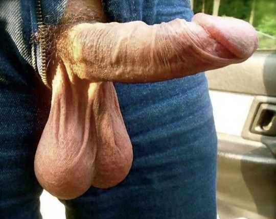 Major dick