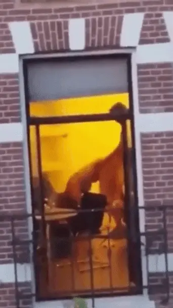 Watching The Neighbors