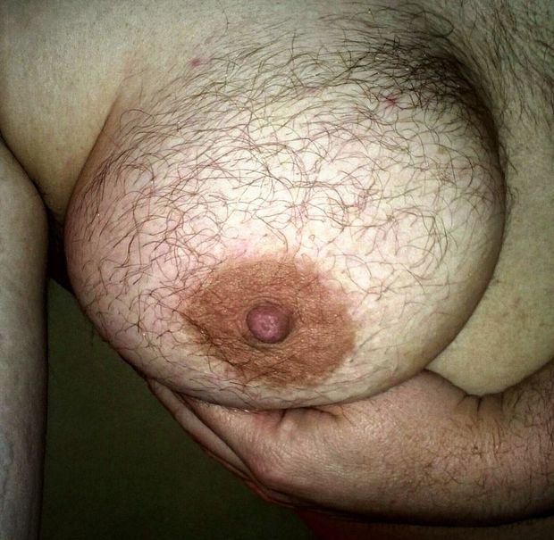 Hairy tit