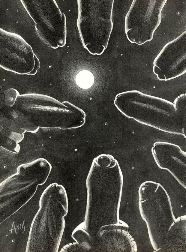 Moon and Cocks