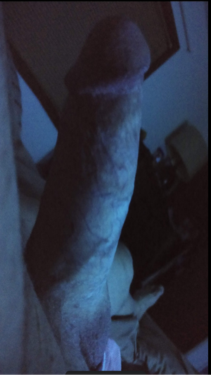 I had night time stiff cock I had to drain off