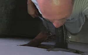 BBC Slut Training by Miss Brat Perversions