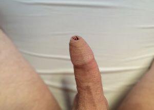 my cock