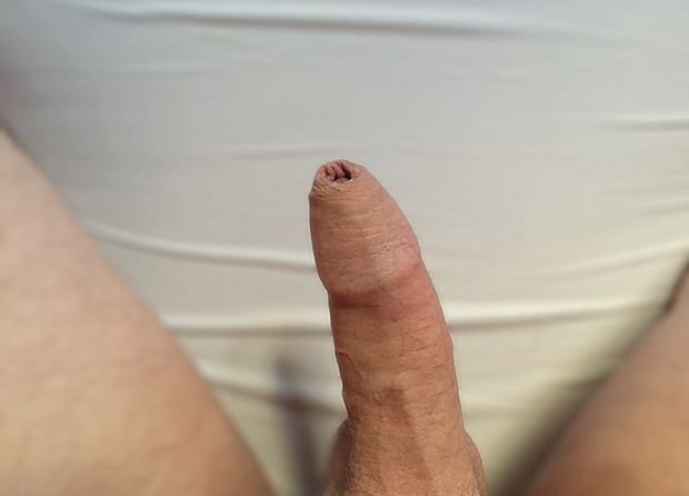 my cock