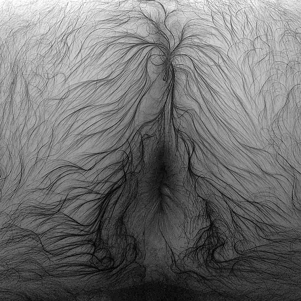 Hairy asshole