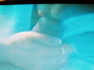 Girlfriend loves it when cock starts dripping