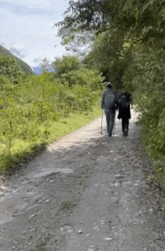 Nature flashing
