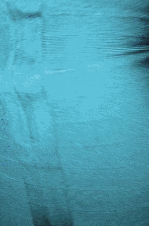 purrrvee public flashing