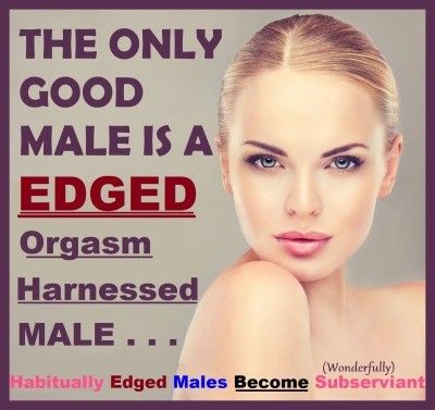 The only good male is an edged orgasm harnessed male...