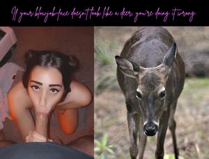 Blowjob face like a deer meme