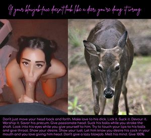 Blowjob face like a deer meme and how to give head