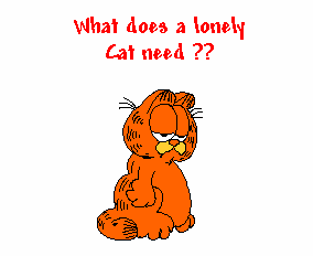 Garfield get's some