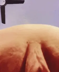 Sea food motion