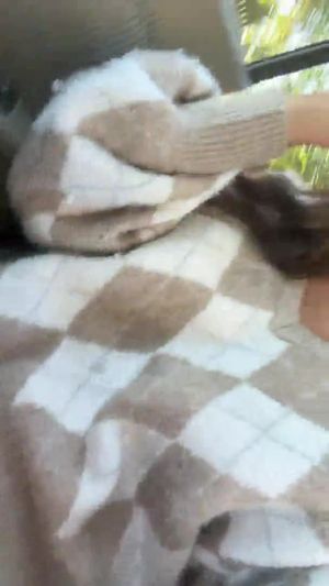 INSTAGRAM USER: @ORIANAROSSI