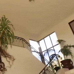 Perfect perky jiggling tits