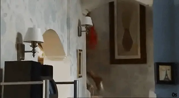 Corrie's hot babe Rosie Webster in sexy short red skirt outfit going back upstairs in reverse gif!!