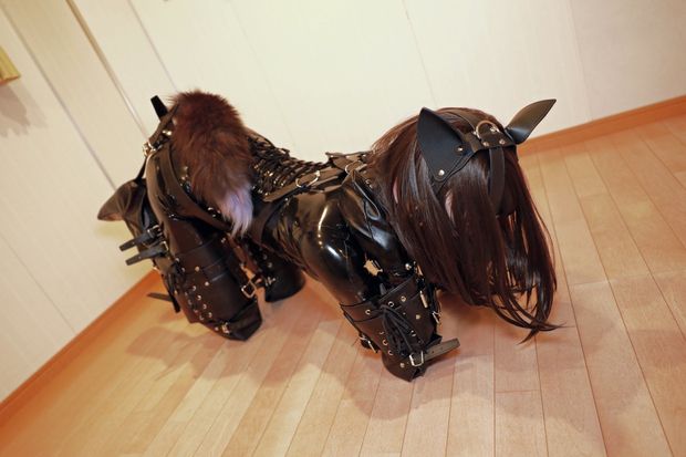 Perfect Japanese Pet