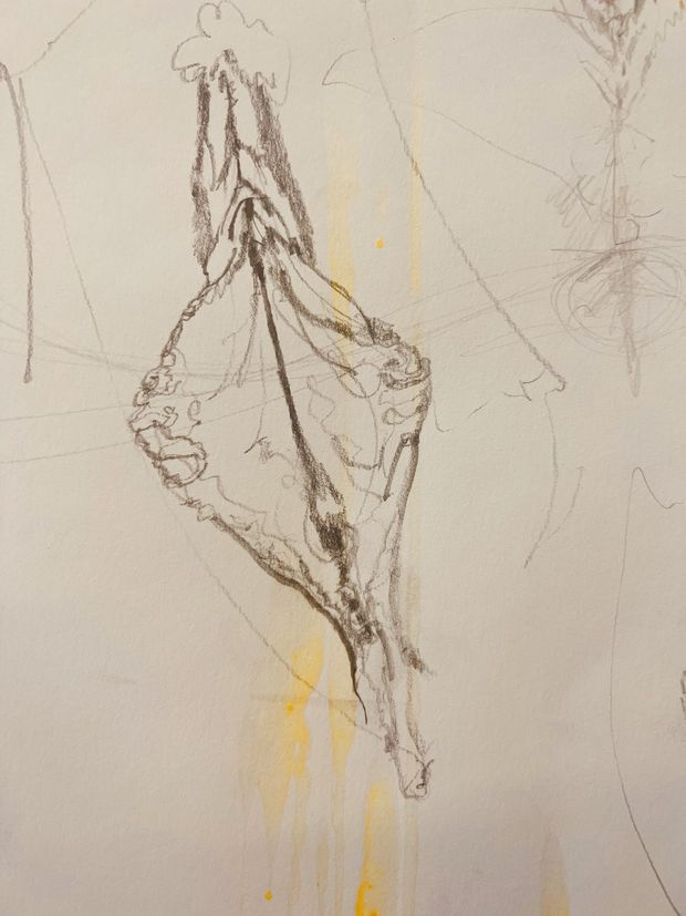 Vagina sketch