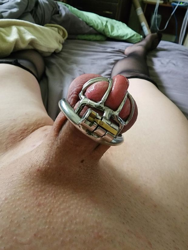 Chastity hardon. Aroused.