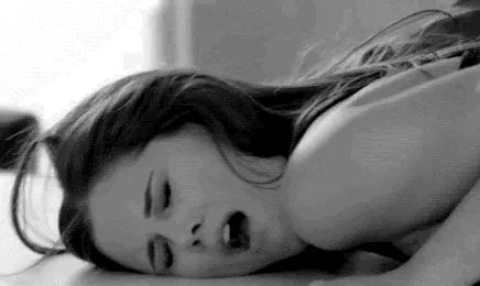 I won't repeat myself, pet