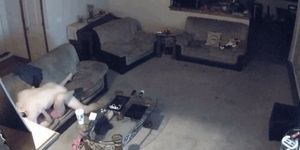 Hard to get work done when you’re watching wife get fucked at home