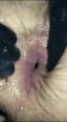 Fucking hot cumhole