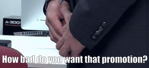 Decisions, decisions...