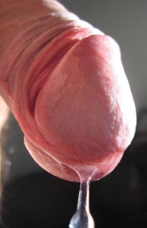 Dripping dick