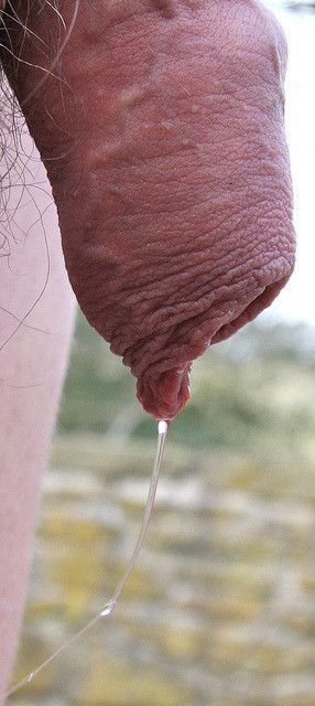 Hairy cock Dripping
