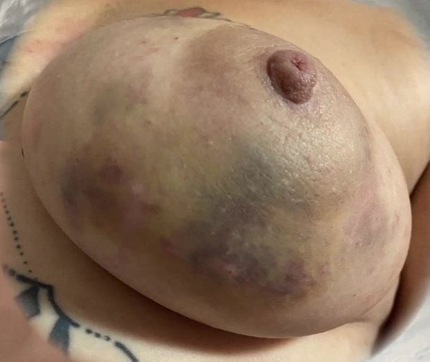 beautiful tit