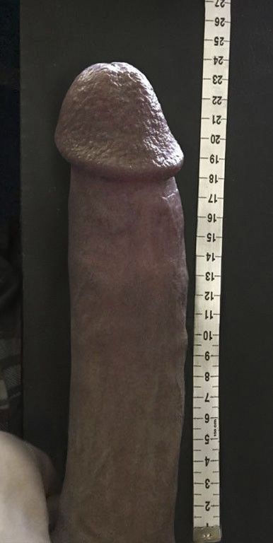 9 Inch Cock