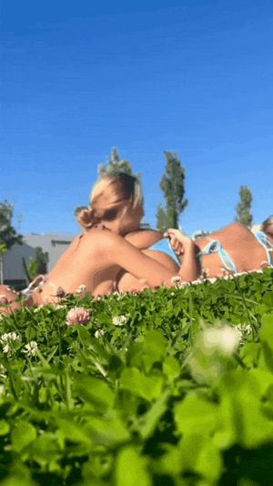 Cuties relaxing on a sunny day