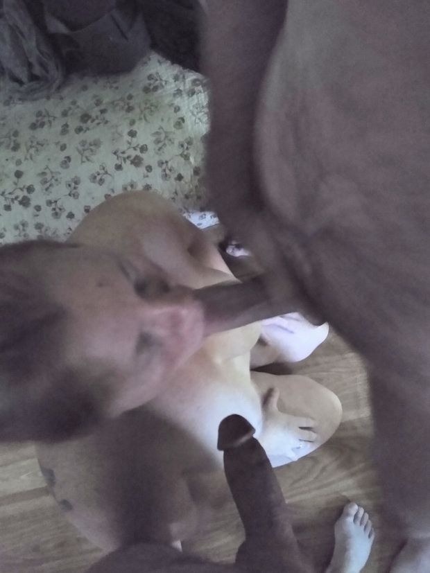 Love having two cocks