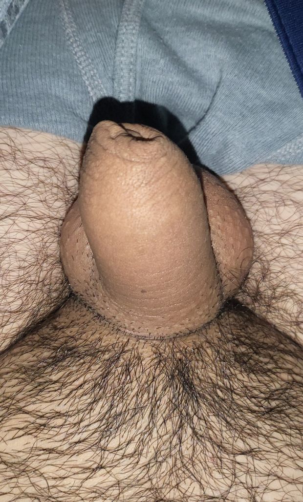 Small uncut penis