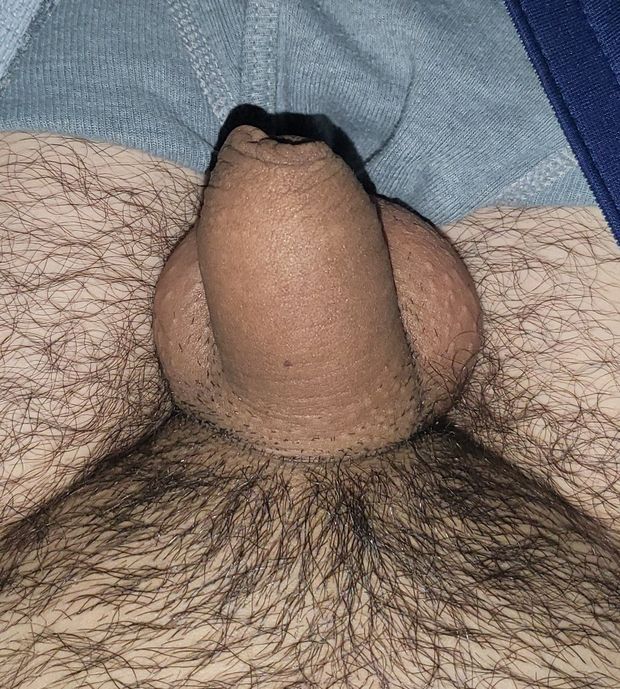 Small uncut penis